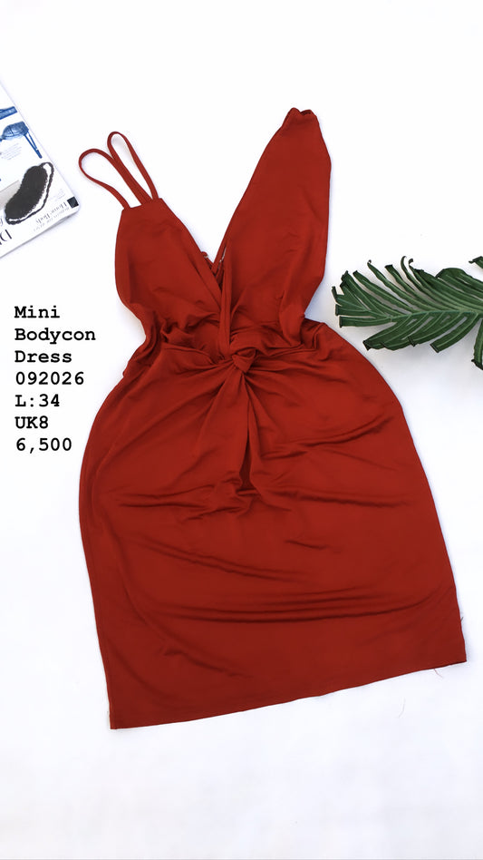 Mini Bodycon Dress